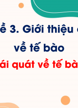 Bài 4 Khái quát về tế bào (Tiết 2)